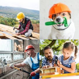 Ground Picture/Shutterstock.com